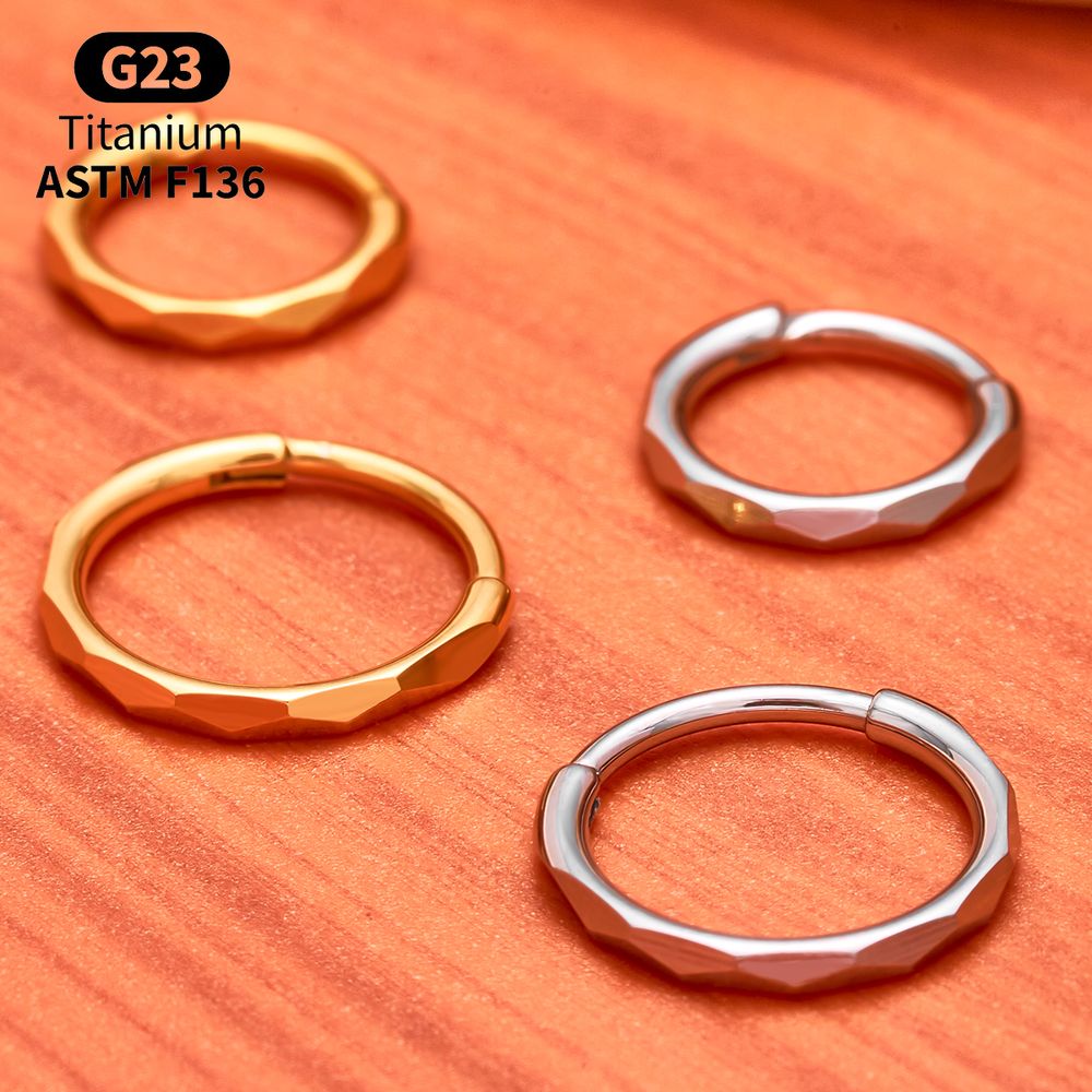 Anneau segmenté à charnière en - Conch Earring Hoop avis et prix